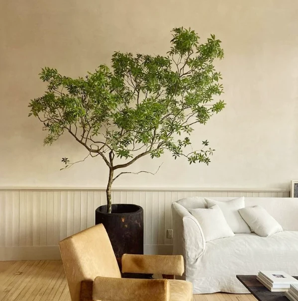 Artificial Chaste Tree Potted Plant suppliers