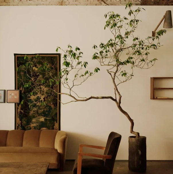 Artificial Chaste Tree Potted Plant high quality