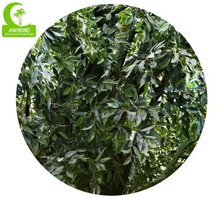 Artificial Laurel Tree  suppliers